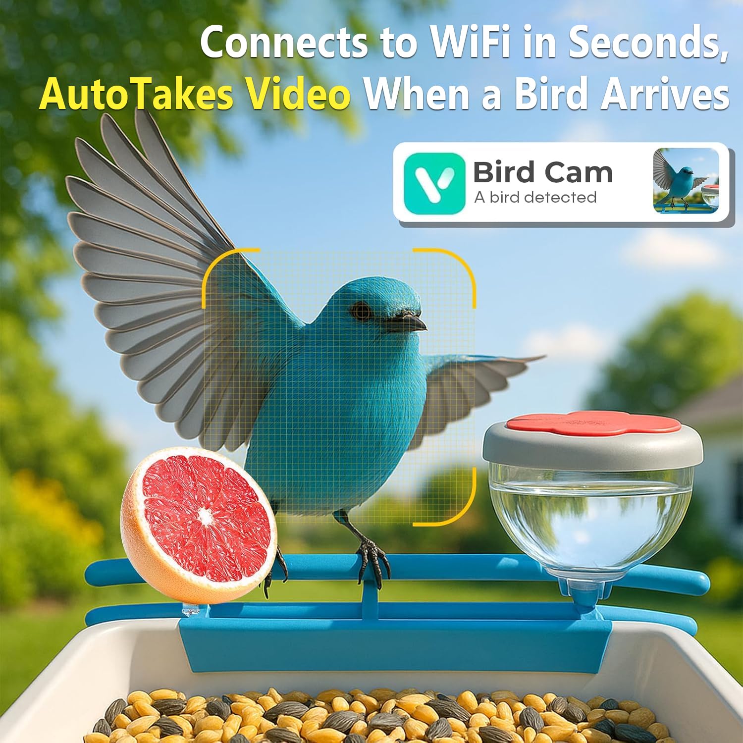 Kamera Pengumpan Burung Pintar - Motion Sensor Outdoor ulasan dan harga